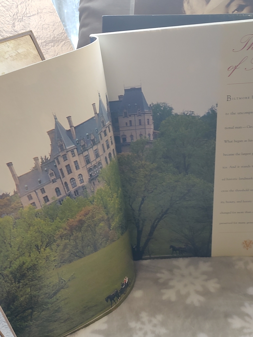 Biltmore Estate 📚 - Picture 6 of 10